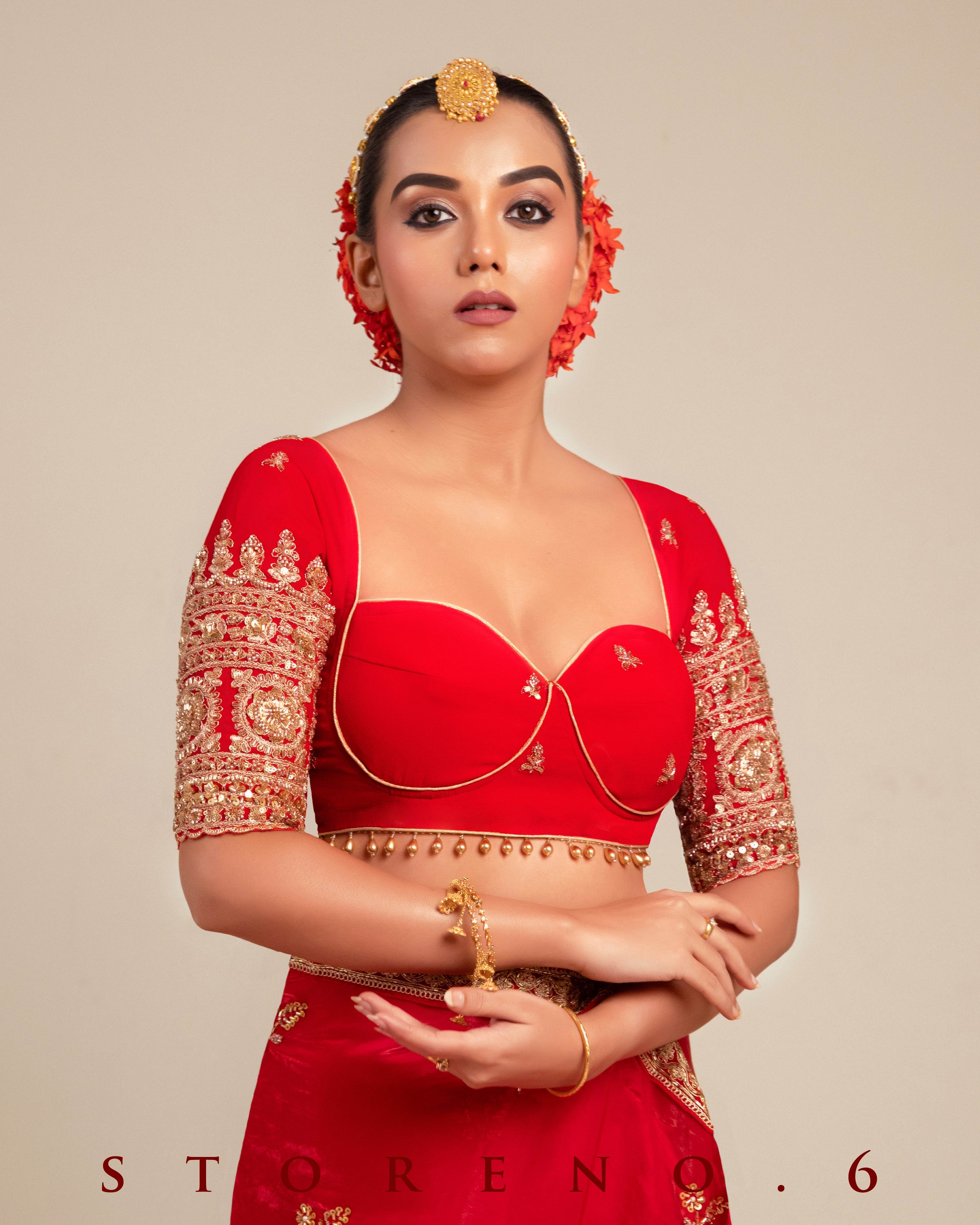 CRIMSON CAROUSAL SAREE WITH MAGNETIC MUSE BLOUSE