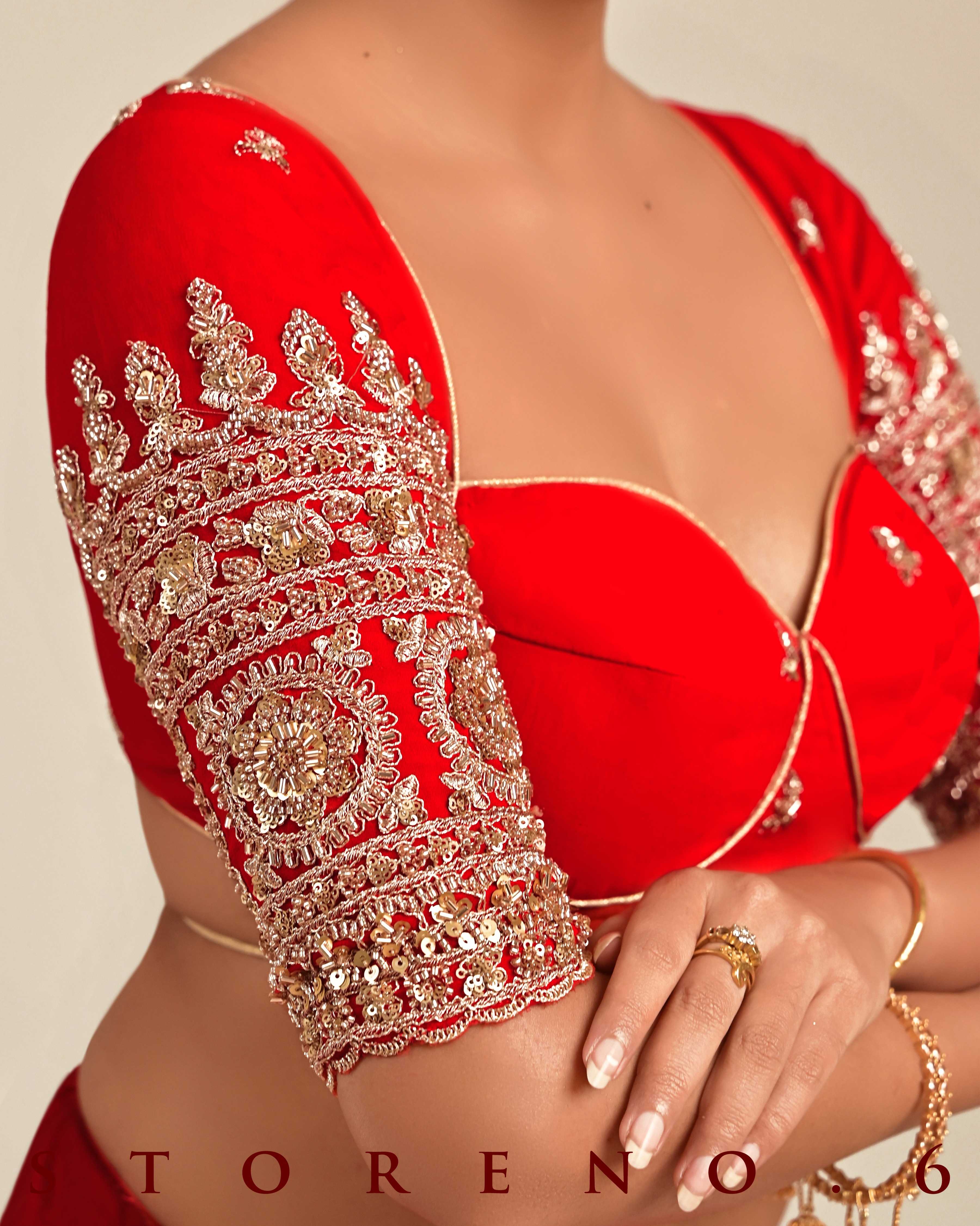 CRIMSON CAROUSAL SAREE WITH MAGNETIC MUSE BLOUSE
