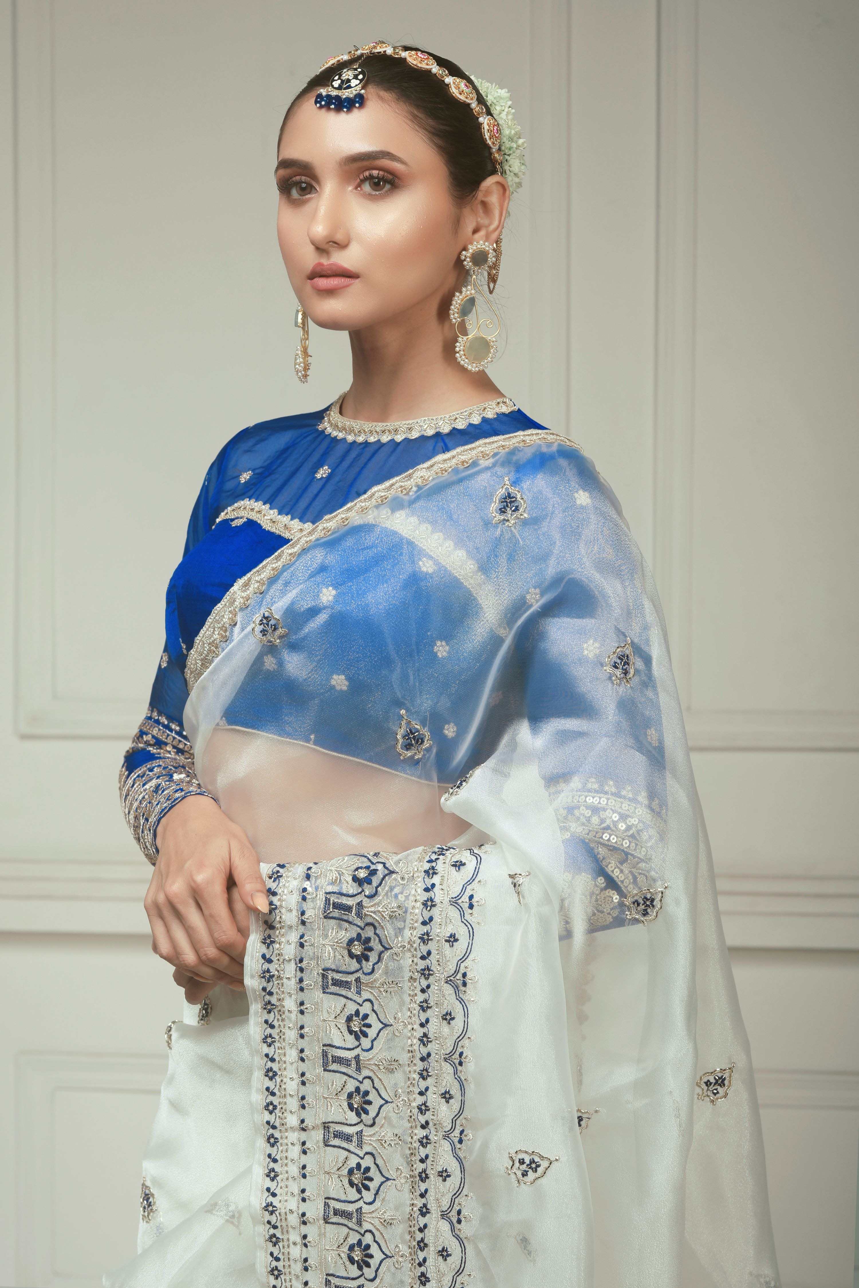 SUNDARI SHEESH SAREE